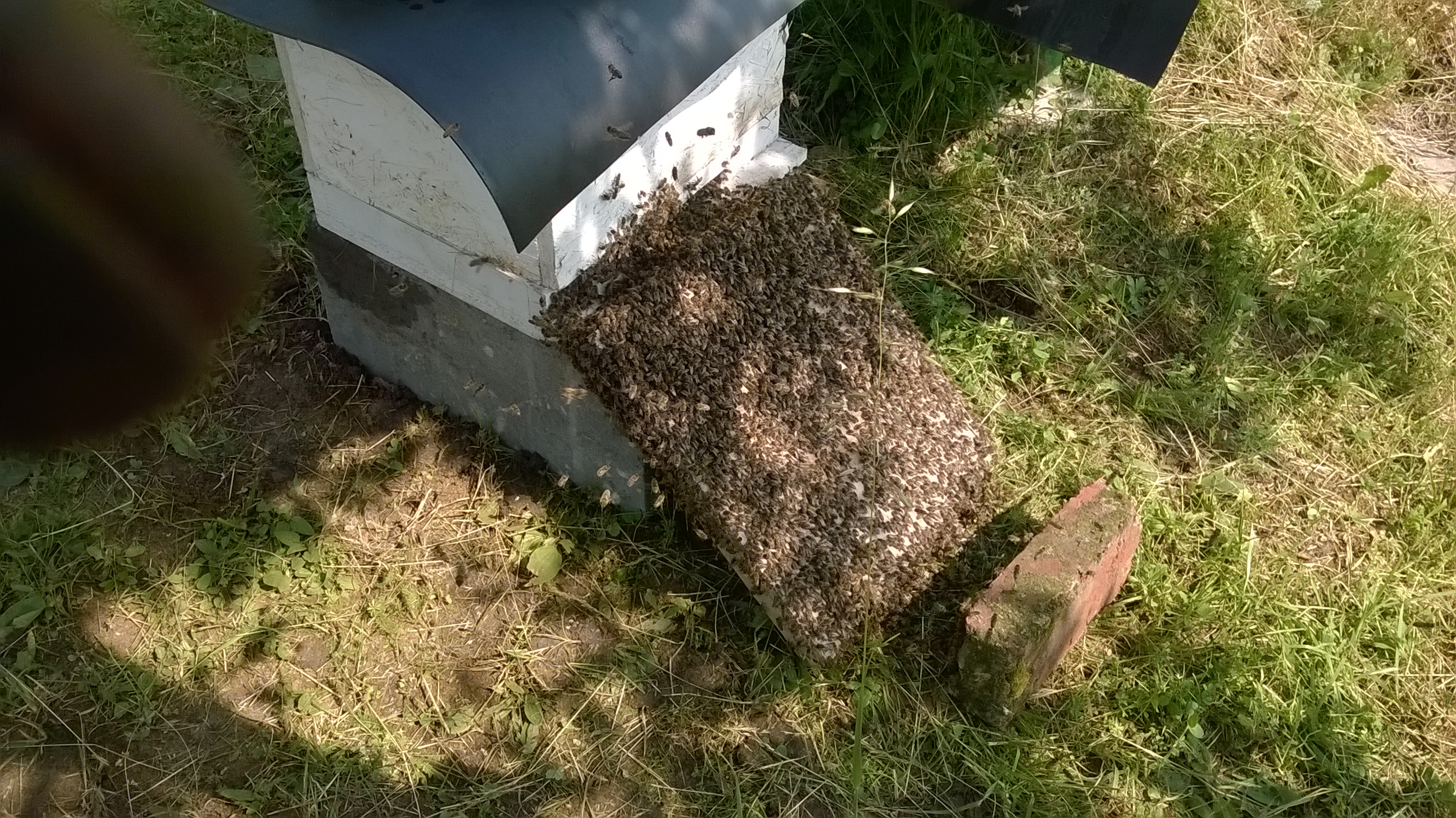 WP_20170531_10_14_41_Pro