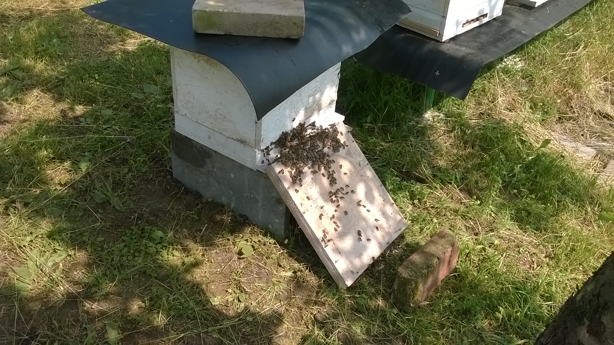 WP_20170531_10_29_38_Pro